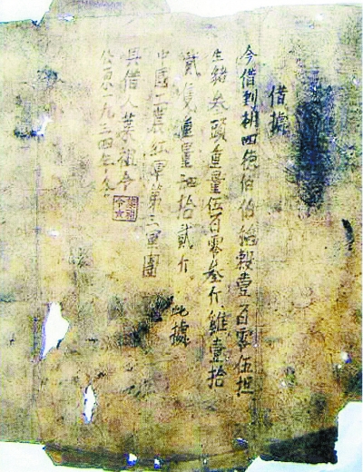 94913132.jpg